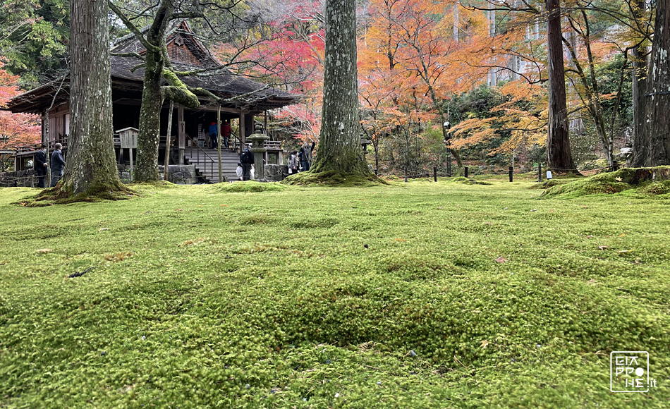 sala ojo gokuraku-in al tempio sanzenin di ohara